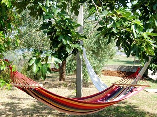 Holiday house Sutomišćica  7