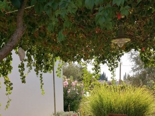 Holiday house Sutomišćica  10