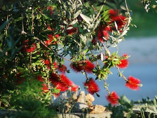 Ferienhaus Sutomišćica  14