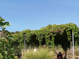 Holiday house Sutomišćica  15