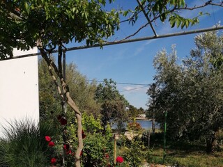 Holiday house Sutomišćica  16