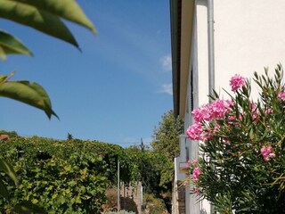 Holiday house Sutomišćica  17