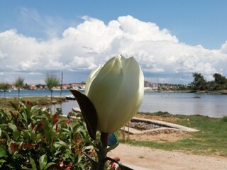 Ferienhaus Sutomišćica  20