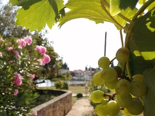 Holiday house Sutomišćica  21