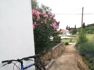 Holiday house Sutomišćica  22