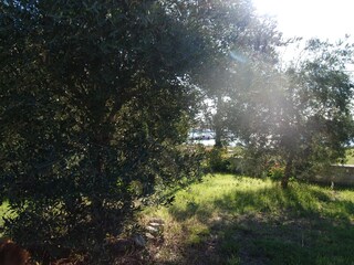 Holiday house Sutomišćica  47