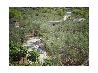 Ferienhaus Povlja  3