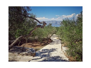 Ferienhaus Povlja  8