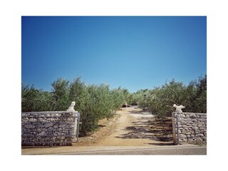 Ferienhaus Povlja  9