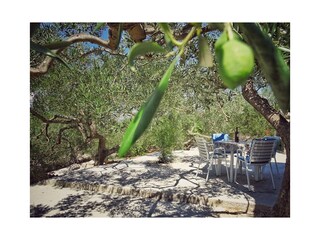 Ferienhaus Povlja  1