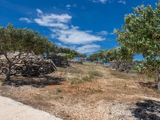Holiday house Postira  12