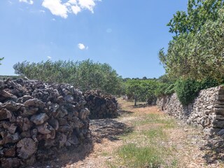 Holiday house Postira  13