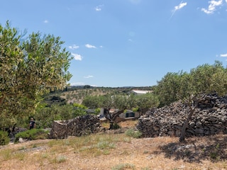 Holiday house Postira  14