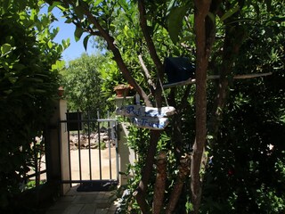 Holiday house Sućuraj  11