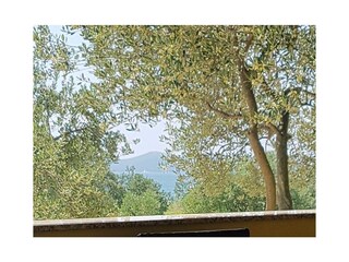 Apartment Pakostane  14