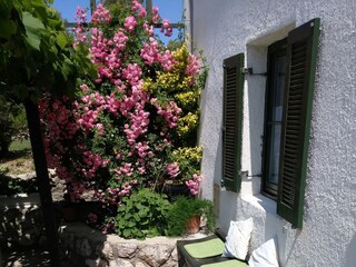 Holiday house Supetarska Draga  6