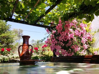 Holiday house Supetarska Draga  15