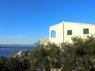 Apartment Necujam  1