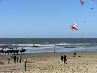 Casa per le vacanze Julianadorp Ambiente 12