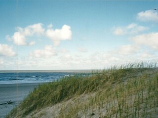 Casa per le vacanze Julianadorp Ambiente 15