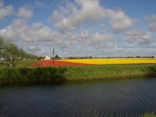 Casa per le vacanze Julianadorp Ambiente 16