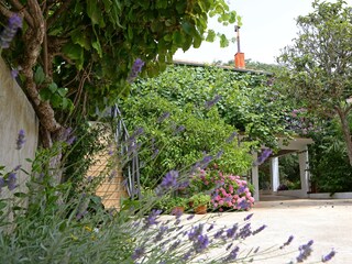 Apartment Bibinje  3