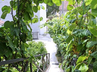 Apartment Bibinje  4