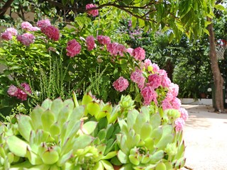 Apartment Bibinje  5