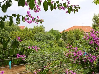 Apartment Bibinje  18