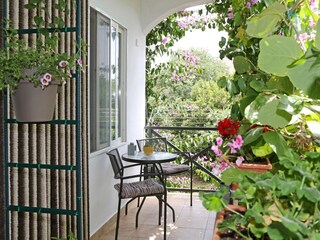 Apartment Bibinje  1