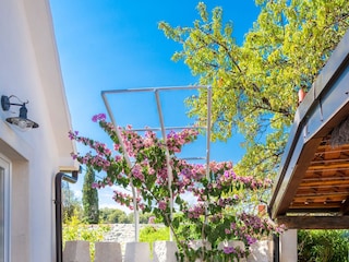 Ferienhaus Škrip  20