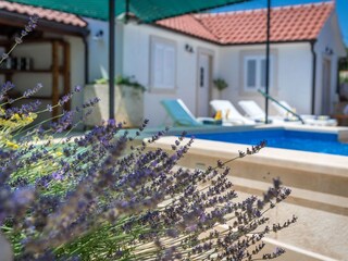 Ferienhaus Škrip  21