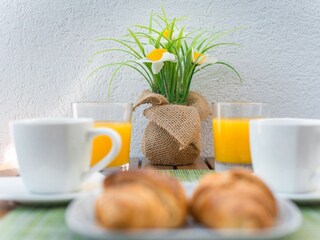 Ferienhaus Škrip  58