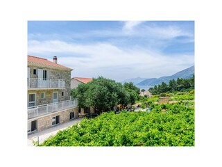 Apartment Potomje  6