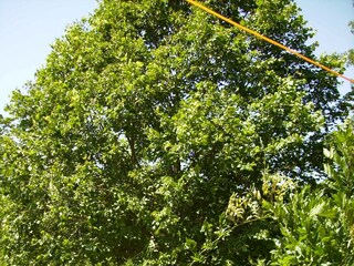 Apartment Sveta Nedelja  10