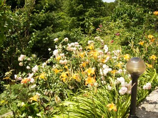 Apartment Sveta Nedelja  11