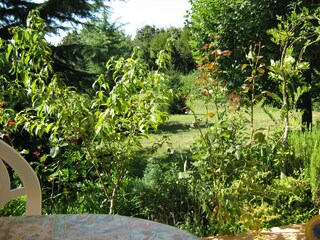 Apartment Sveta Nedelja  23