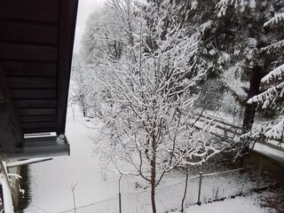 Apartment Mittelkroatien  6