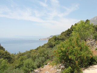 Holiday house Zivogosce  11