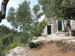 Holiday house Zivogosce  14