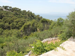 Holiday house Zivogosce  15