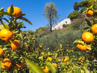 Holiday house Zivogosce  17