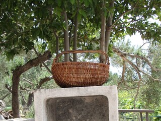 Holiday house Zivogosce  22