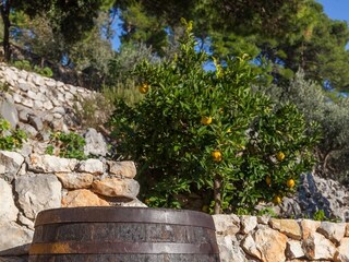 Ferienhaus Zivogosce  24