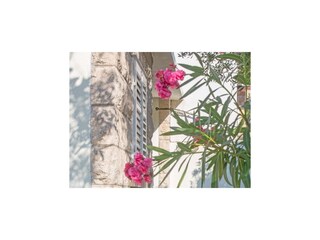 Ferienhaus Korcula (Stadt)  8