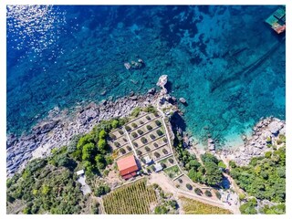 Holiday house Trpanj  3