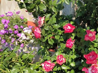 Apartment Ljubac  10