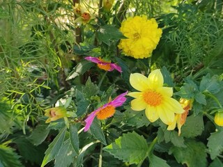 Apartment Ljubac  11