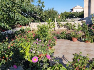 Apartment Ljubac  12