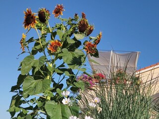 Apartment Ljubac  13